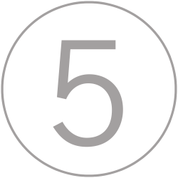 Stepcraft Icon 5